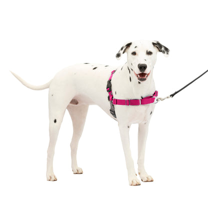 Easy Walk® Harness, No Pull Dog Harness