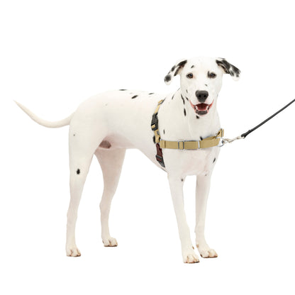 Easy Walk® Harness, No Pull Dog Harness
