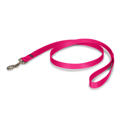 Nylon Leash