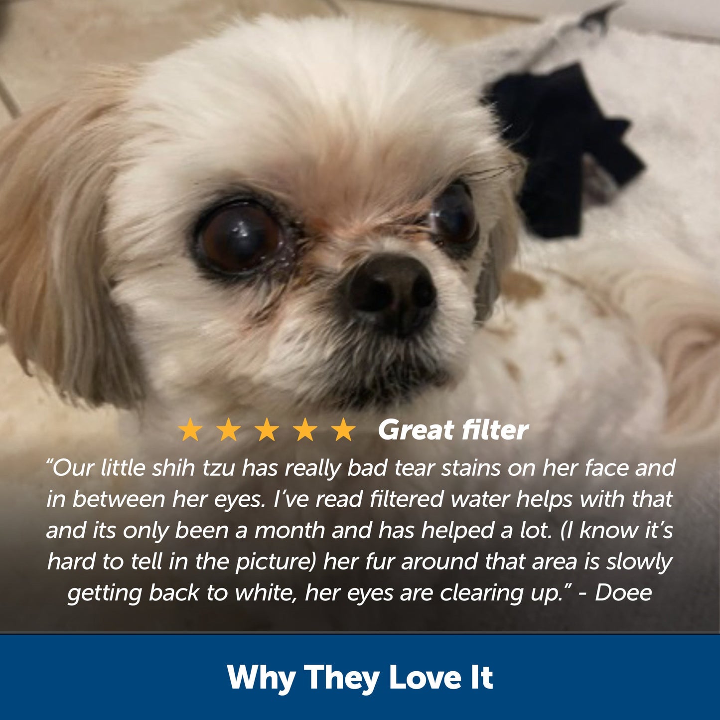 Healthy Pet Water Filter, 2-Pack