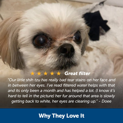 Healthy Pet Water Filter, 2-Pack