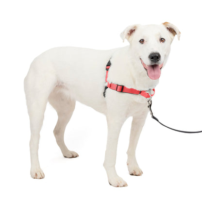 Deluxe Easy Walk® Harness