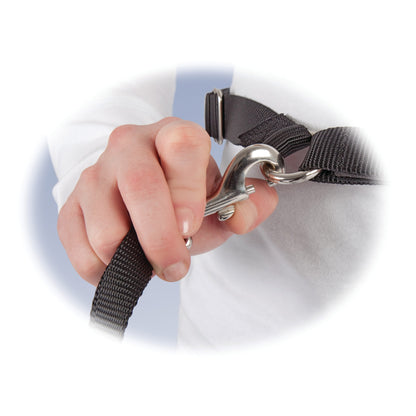 Hands-Free Leash