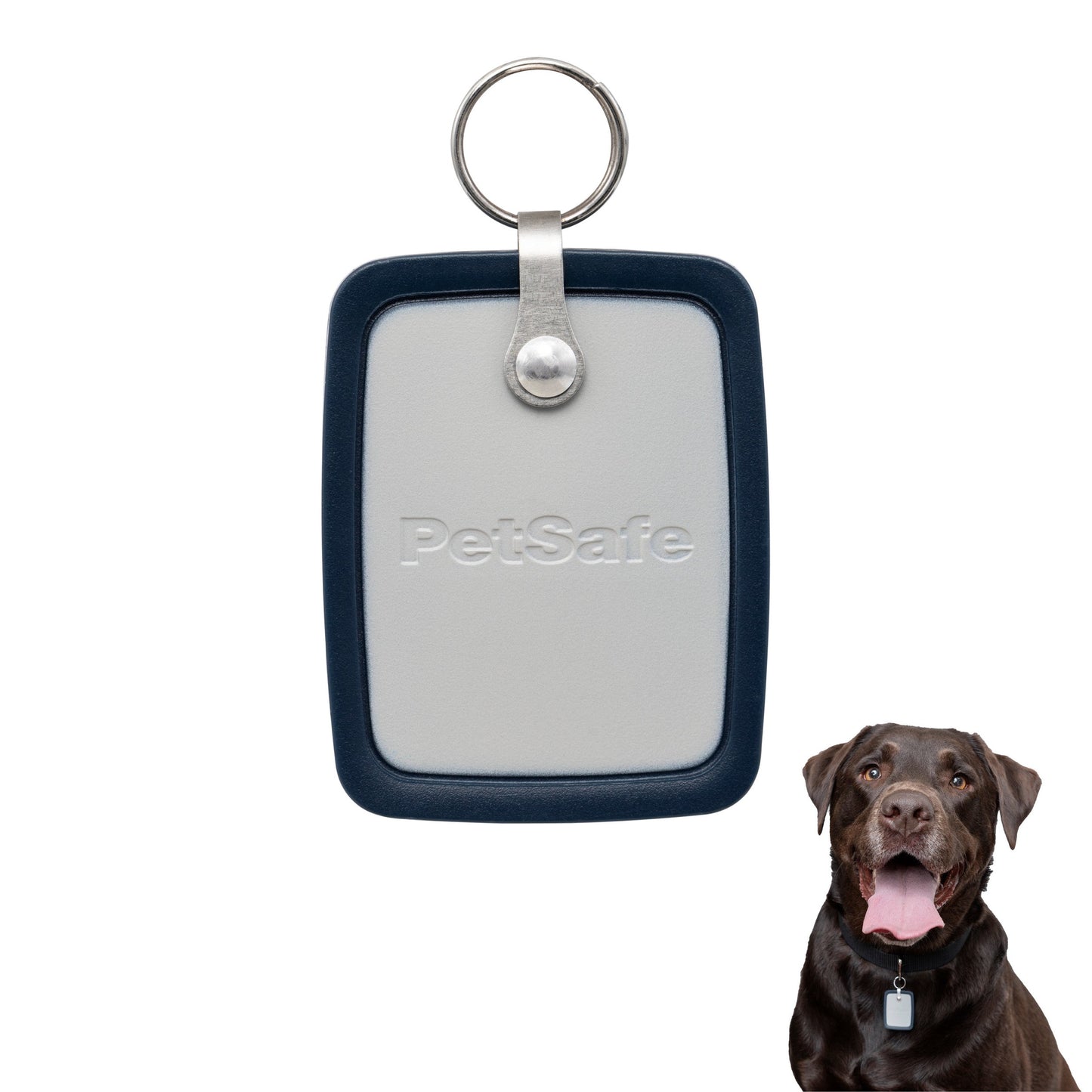 SmartDoor™ Connected Pet Door Key