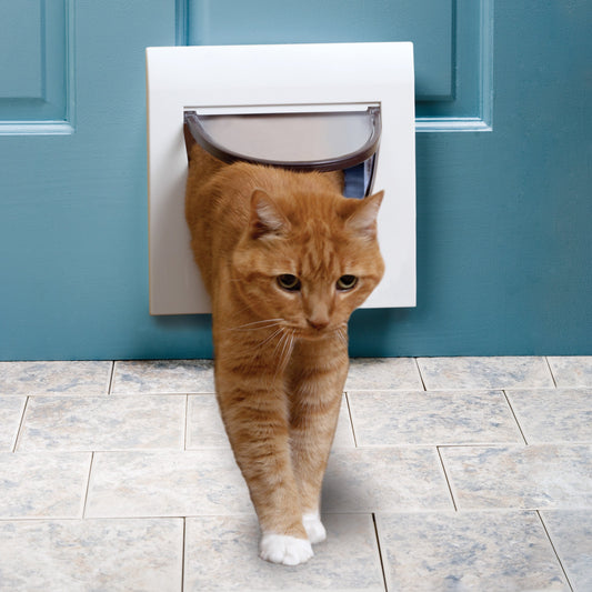 4-Way Locking Cat Flap