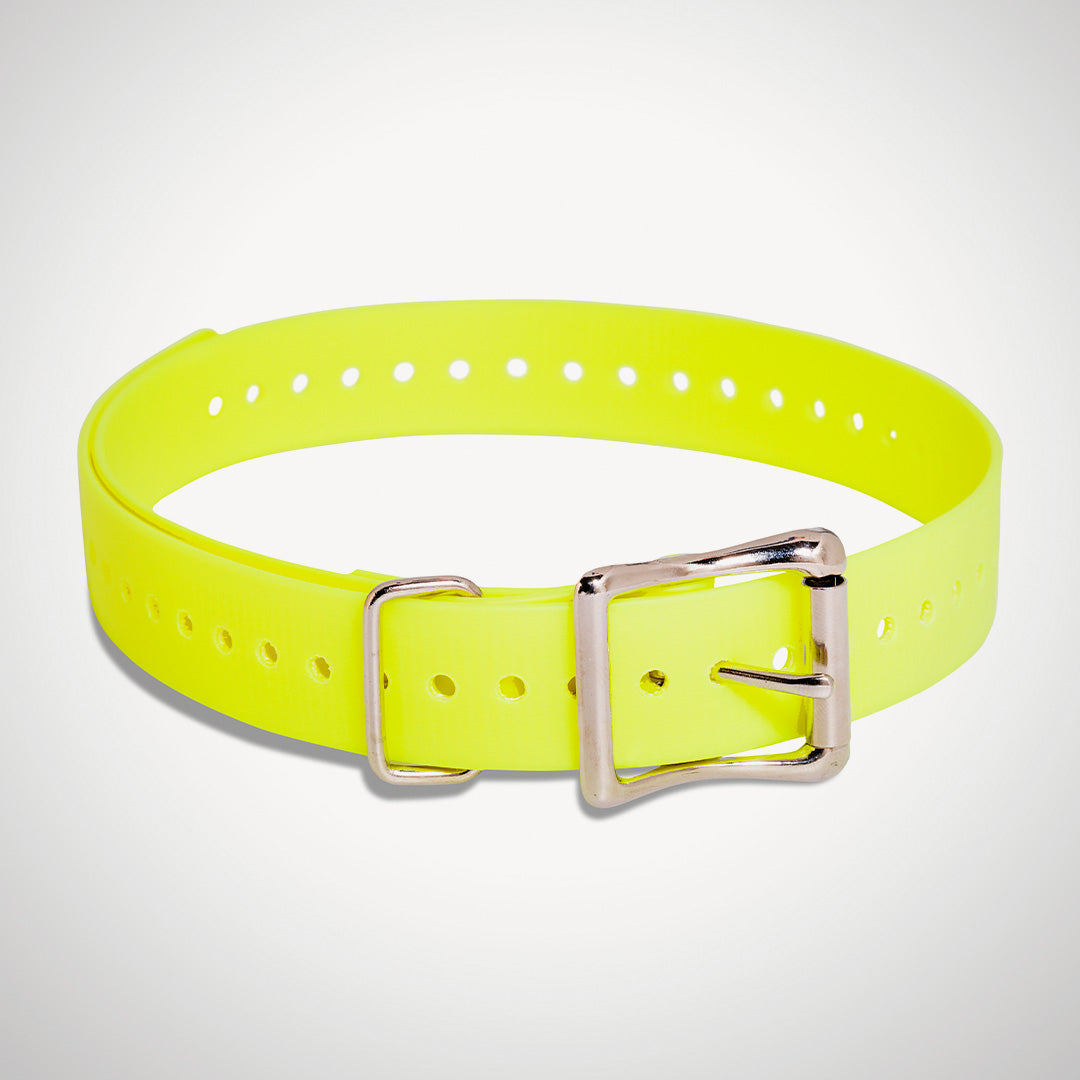 Replacement 1 inch Collar Straps