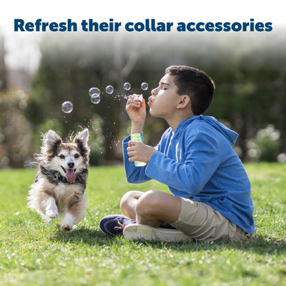 A boy blowing bubbles with his excited pup outside refresh their collar accessories
