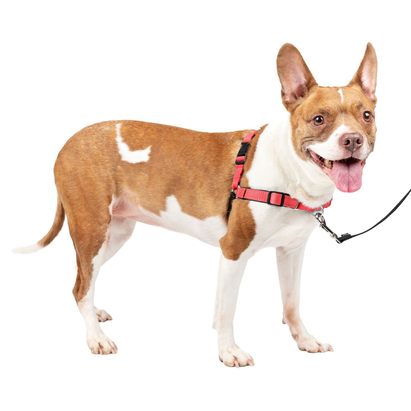 Deluxe Easy Walk® Harness