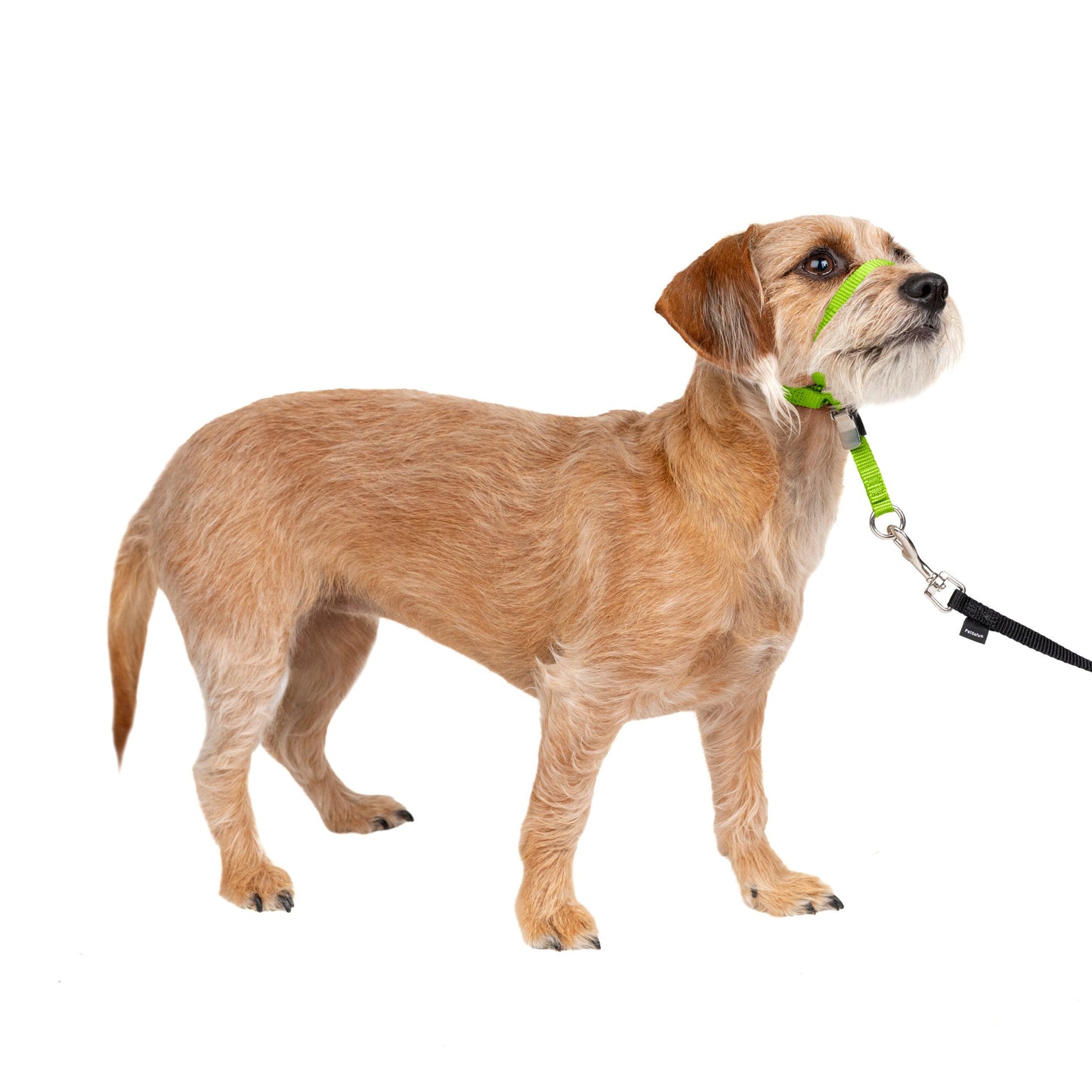 Gentle Leader® Headcollar, No-Pull Dog Collar