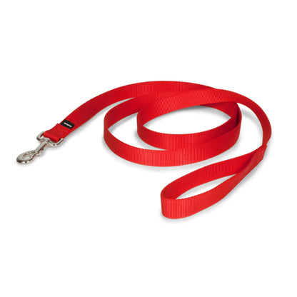 Nylon Leash