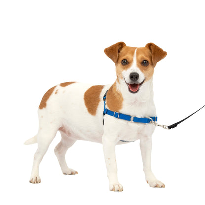Easy Walk® Harness, No Pull Dog Harness