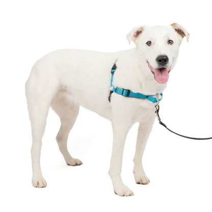 Deluxe Easy Walk® Harness