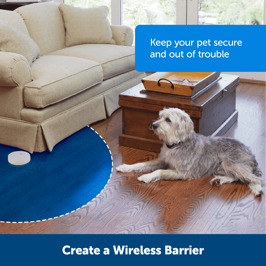 Pawz Away® Extra Indoor Pet Barrier Transmitter
